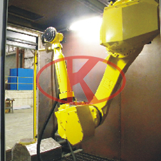 FANUC peeing robot system