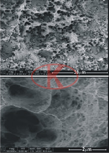 Surface SEM image of SLA sample after the shot blast acid etching